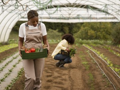full-shot-women-farming-together